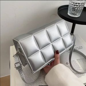 Super Cute Silver Purse